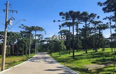 Imagem 6: Terreno JARDIM MARIANA CANELA