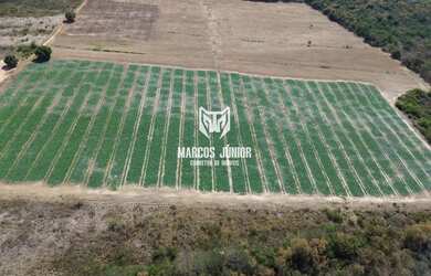 Imagem 9: FAZENDA NO NORTE DE MINAS COM PIVÔ NA BEIRA DO RIO SÃO FRANCISCO PARA...
