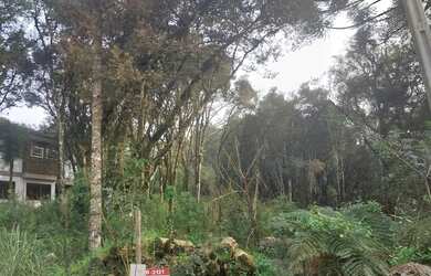 Imagem 2: TERRENO EM GRAMADO NO BAIRRO VIVENDAS DO ARVOREDO