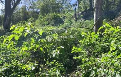 Imagem 3: Loteamento Bosque das Araucárias - Linha Imperial