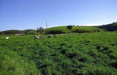 Imagem 2: Fazenda 120 Alqueires - Fundão