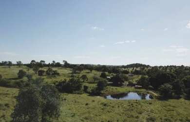 Imagem 2: 117 alqueires em Goias Velho-Go