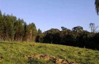 Imagem 14: TERRENO RESIDENCIAL em Pinhalzinho - , Curitibanos