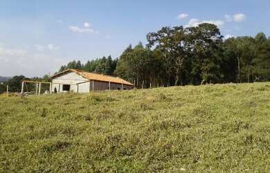 Imagem 10: TERRENO RESIDENCIAL em Pinhalzinho - , Curitibanos