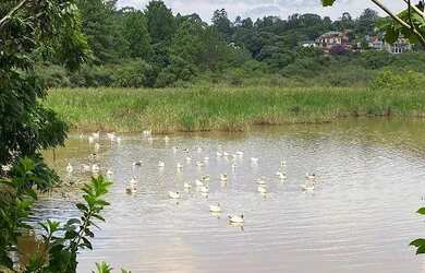 Imagem 10: Terreno à venda, 1032 m² por R$ 460.000,00 - GRANJA VIANA RESIDENCIAL...