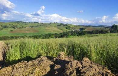 Imagem 10: Lote/Terreno para venda tem 500 metros quadrados em Usina - Atibaia -...