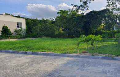 Imagem 1: Lote Terra Viva Aldeia