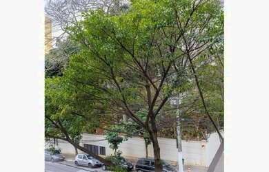 Imagem 4: APARTAMENTO RESIDENCIAL em São Paulo - SP, Aclimação