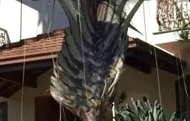 Imagem: A casa em condomínio possui 3 Dormitórios, 2 Banheiros, 4