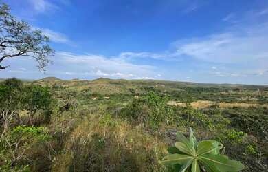 Imagem 12: Lote/Terreno à Venda, 20500 m² por R$ 160.000