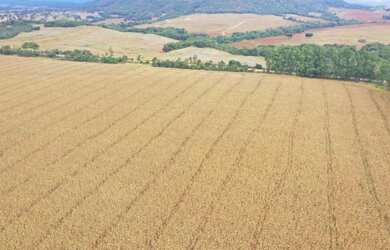 Imagem 6: Fazenda a venda, em Santa Cruz de Goiás