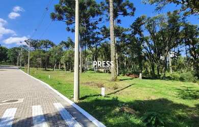 Imagem 5: Terreno JARDIM MARIANA CANELA