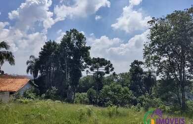 Imagem 12: TERRENO - BAIRRO DO TIJUCO PRETO - SP