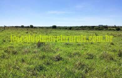 Imagem 9: Sítio 2,50 hectares, muita água, entre Uberlândia e Monte Alegre