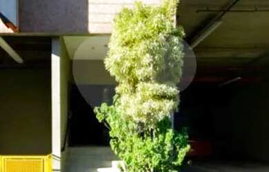 Imagem 11: Galpão para locação em Parque Novo Mundo - SP