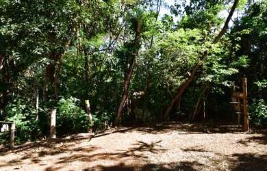 Imagem 15: Lotão com 1294 metros, Condominio Ouro Vermelho I