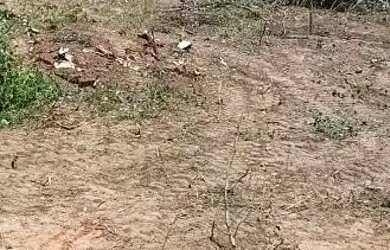 Imagem: O terreno e está localizado em São Salvador, Betim à venda