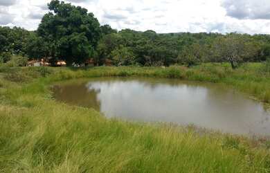 Imagem 5: 117 alqueires em Goias Velho-Go