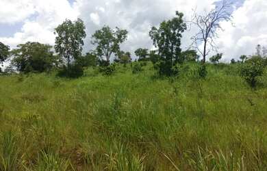 Imagem 10: 117 alqueires em Goias Velho-Go