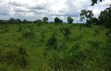 Imagem 16: 117 alqueires em Goias Velho-Go