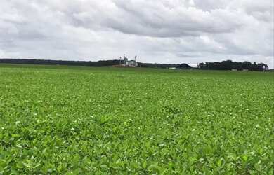 Imagem 7: Fazenda 9.775 alqueires em Santa do Araguaia-PA