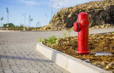 Imagem 7: FLORES DA CUNHA - Terreno Padrão - VILLA ROMANA