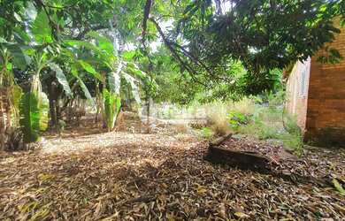 Imagem 4: Área disponível para venda 6.745 m² no bairro Chácaras Tubalina e Quartel em Uberlândia-MG