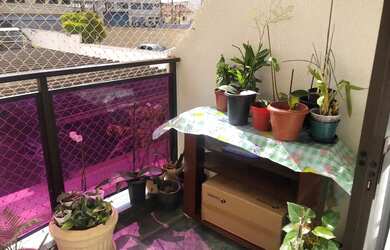 Imagem 11: Apartamento em Rua Buarque de Macedo - Jardim Brasil - Campinas/SP