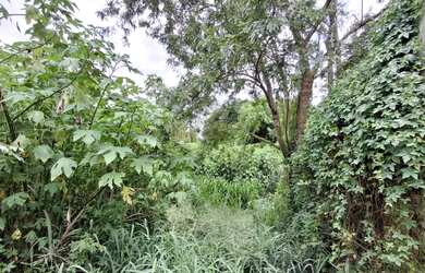 Imagem: O terreno possui 1.188m² de Área e está localizado em Jardim