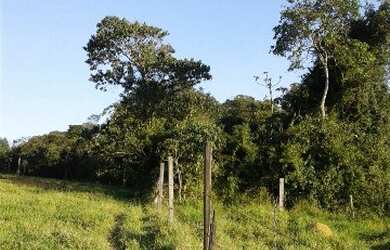 Imagem 15: TERRENO RESIDENCIAL em Pinhalzinho - , Curitibanos