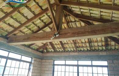 Imagem 8: Área para investidor, 3 hectares as margens do asfalto em Viamão