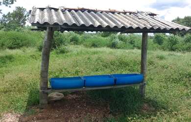 Imagem 13: 117 alqueires em Goias Velho-Go