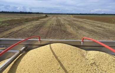 Imagem 16: Fazenda 9.775 alqueires em Santa do Araguaia-PA