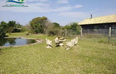 Imagem 6: Área para investidor, 3 hectares as margens do asfalto em Viamão