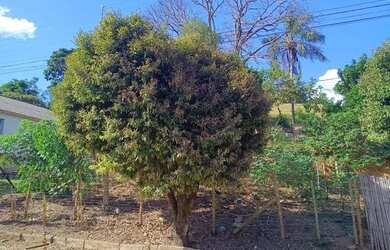 Imagem: O terreno possui 450m² de Área e está localizado em Providência