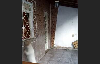 Imagem: A casa possui 3 Dormitórios, 2 Banheiros, 2 Vagas na garagem