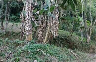 Imagem 6: Terreno para Venda em Guapimirim, Cantagalo