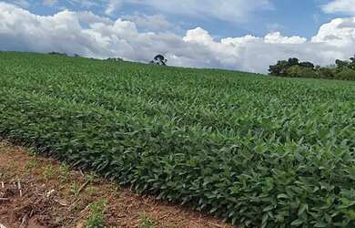 Imagem: A fazenda e está localizado em Plano Diretor Sul, Palmas à