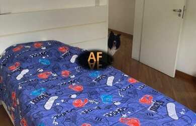 Imagem 12: Casa em Condomínio para Locação em Santana de Parnaíba, Alphaville, 4 dormitórios, 2 suíte