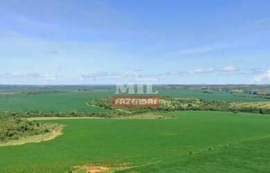 Imagem: A fazenda possui 200m² de Área e está localizado em Abadiânia