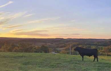 Imagem 16: OPORTUNIDADE CHÁCARA 2,5 Alq. A VENDA 18km de cascavel
