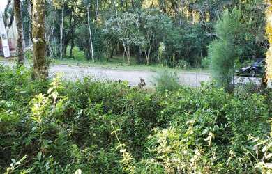 Imagem 6: Terreno - Bairro Carniel. 420m² de Área