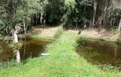 Imagem 6: Chácara para Venda em Juquitiba, Centro