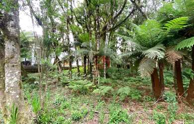Imagem 9: Terreno à Venda em Gramado