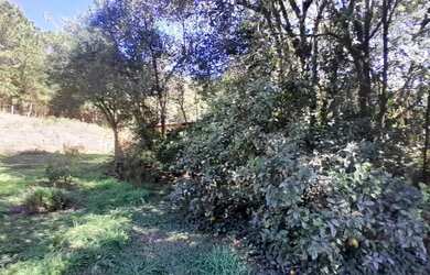 Imagem 12: Area - Bairro Tapera. 129.000m² de Área