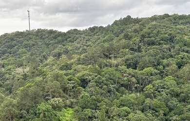 Imagem 9: Apartamento à venda no Pioneiros em Balneário Camboriú