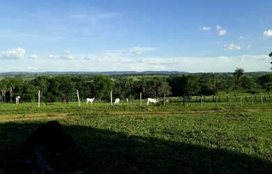 Imagem 2: Fazenda 8 alqueires. 8m² de Área Privada