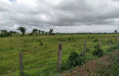 Imagem: A fazenda possui 250.000m² de Área e está localizado em