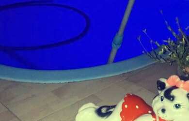 Imagem: A casa possui 2 Dormitórios e 1 Vaga na garagem e está localizado