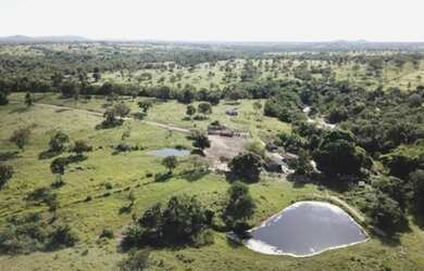 Imagem: A fazenda e está localizado em Goiás, GO à venda por R$9.400.000